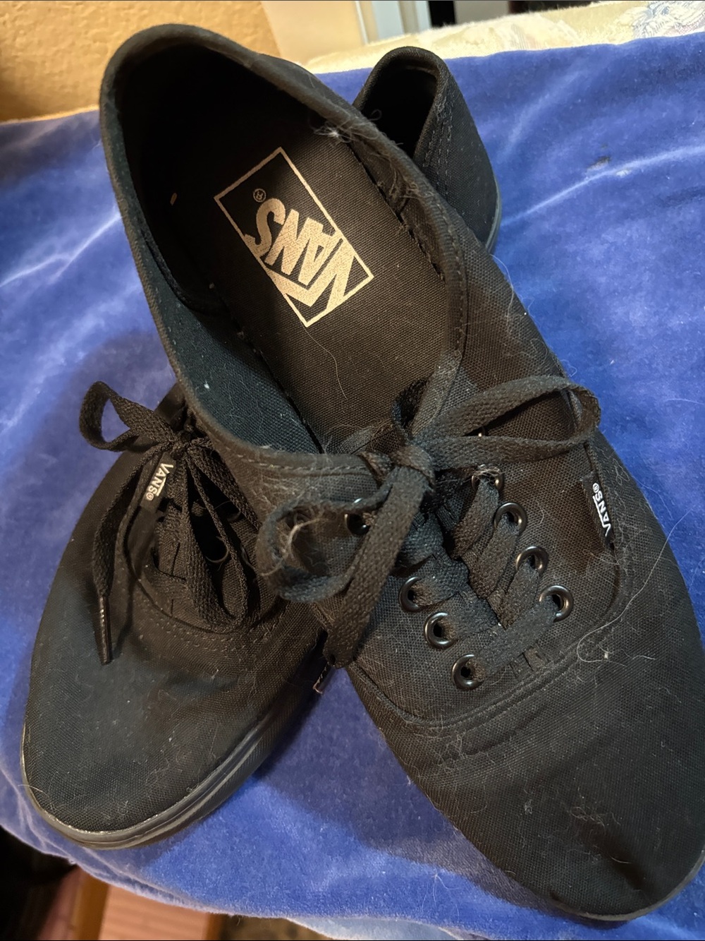 Vans Black Canvas Low-Top Lace-Up Sneakers